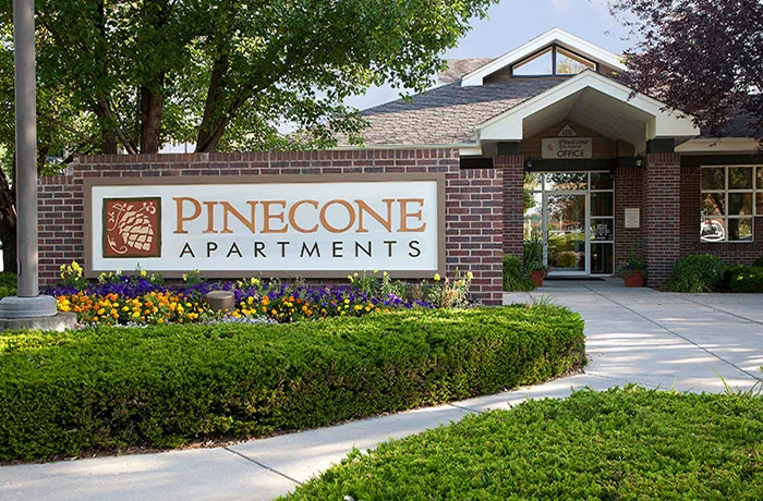 Pinecone DST