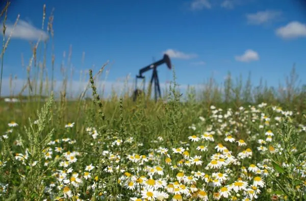 Oil and Gas Royalties